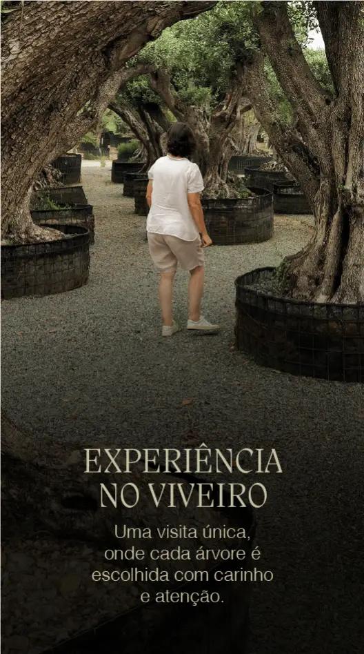 EXPERIENCIA NO VIVEIRO - ARVORES HARA