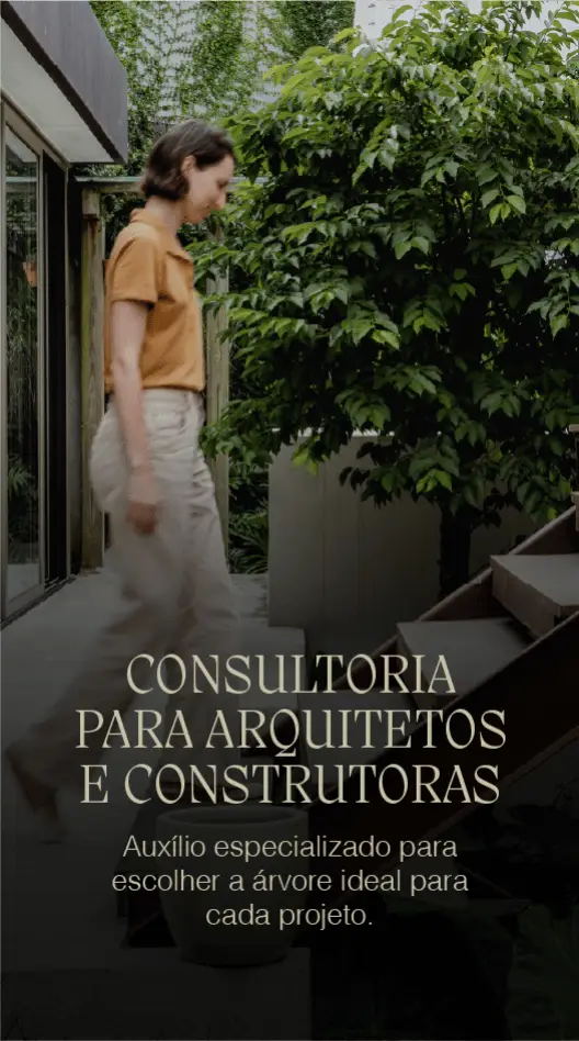 CONSULTORIA ARQUITETOS - ARVORES HARA