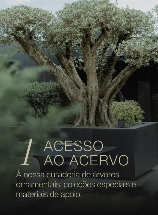 Benefícios Hara - Acesso ao Acervo
